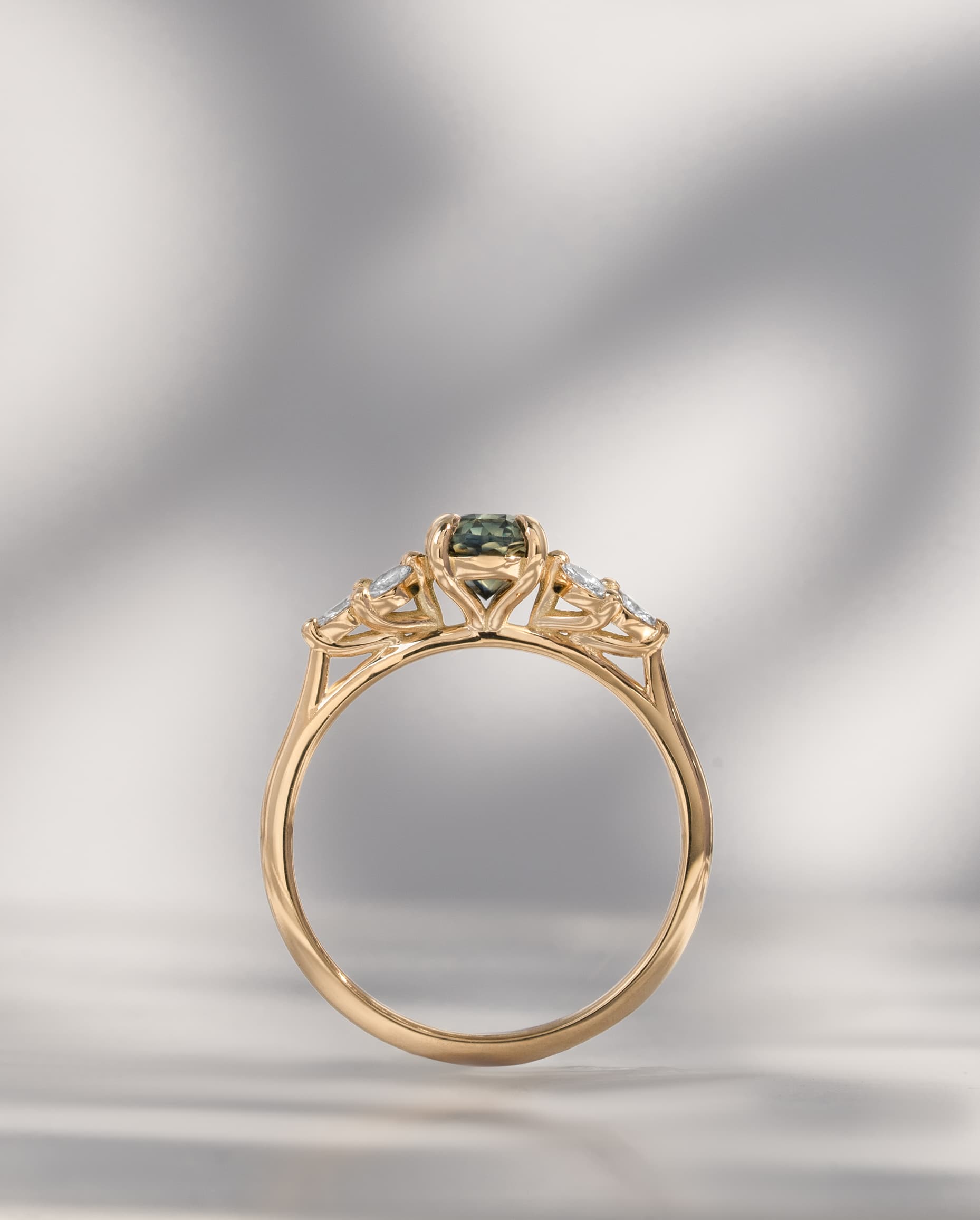 A finished bespoke Aardvark ring standing on its edge